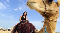 Camel Riding For 2 Hours in desert W/Transfer - Sharm El-Sheikh