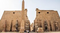 Private Tour in Temples of Luxor and Karnak on East Bank