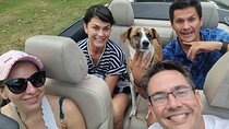 2 Hours Private Luxury Tour in a Convertible Car in Panama City