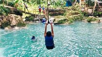 Half-Day Private Blue Hole & Dunn's River Falls from Montego Bay