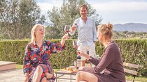 Gastronomic Wine Tasting Experience Guided by a Sommelier