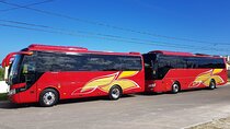 Private Reggae Sumfest Round Trip Transportation