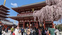 Tokyo Private Car Tour: Professional Guide and Driver/Optional airport xfer