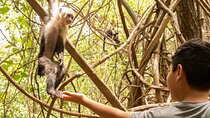 Jaco’s Wild Morning – Monkeys, Crocs & Local Flavors