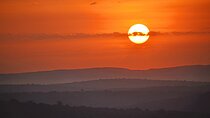 12-Day Super Luxury Wildlife Tour in Entebbe Uganda