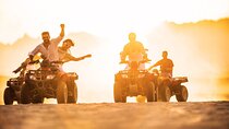 Private Quad Bike Tour in Palomino