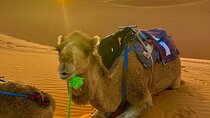5 Day Desert Tour from Marrakech to Tangier Fes and Chefchaouen 
