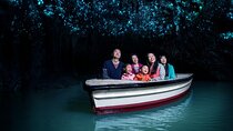 Waitomo Glowworm Caves - Private Tour From Auckland
