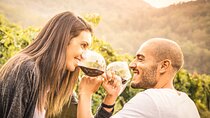 Napa and Sonoma-8-hr Private-Wine Tour from San Francisco XL SUV