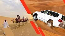 Al Awir Morning Desert Safari with Camel Ride