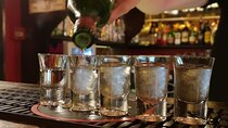 Lisbon Pub Crawl