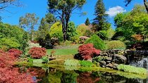 Blue Mountains Private Tour with Autumn Colors