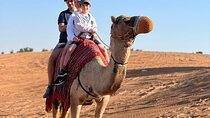 Abu Dhabi morning desert safari - Private car 
