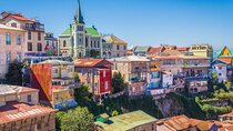 Valparaiso, Viña del M, Vineyard testing, Sea lions, Boat ride