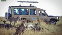7 Days Kenya Classic Wildlife Safari 