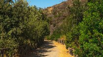 Tour Monte Nuovo and Lake Averno