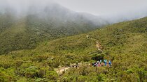 8 Days Kilimanjaro Climb Private Tour - Lemosho Route