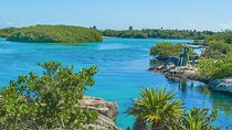 Private Yal-ku and Akumal Experience