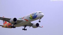 Chengdu Tianfu Airport Private Transfer