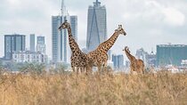 Nairobi National Park and Beads Factory Private Tour