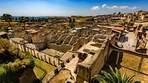 Half Day Herculaneum and Pompeii Tour from Positano