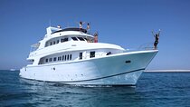 Private VIP Boat Snorkeling Day To White Island And Ras Mohamed
