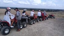 Desert quad biking and camel riding plus diner under stars