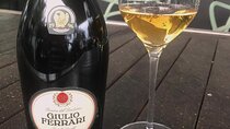 The Best Italian Wines Evening Private Tasting Experience 