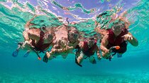 Snorkelling Experience