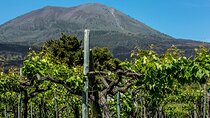 Scenic Wine Tasting & Lunch on the Slopes of Vesuvius from Naples