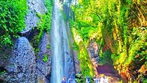 One Day Trip : Bogor City Tour With Lunch ( Start From Jakarta)