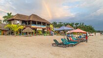Negril 7 miles beach day & Parasailing then Rick's cafe chill 