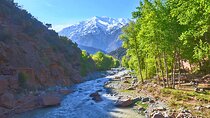 Full Day Excursion Tour to Ourika Valley
