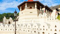 From Sigiriya to Kandy Private Transfer 