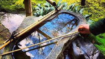 Kyoto Private magical Tour with a local guide