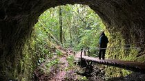 Santa Rita Waterfall and Salento Hike Tour