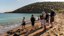 8 Days Galapagos Island Hopping "Santa Cruz & Isabela island"