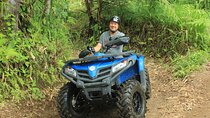 Bali Quad Driving