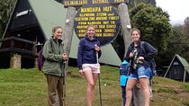 Mount Kilimanjaro National Park Day Trip