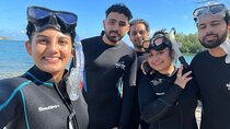 Miami Boat Tour and Spearfishing Lessons 