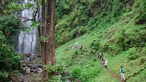 Swim to Materuni and Kikuletwa Hotspring 