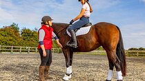  Alanya Horseback Riding in the Taurus Mountains with Transfer 
