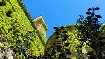 Uncorking Olite: A Private Wine Tour & Royal Castle Experience