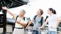 Explore Hidden Alleyway with a Local Expert (Afternoon Tour)