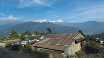 Hiking Adventure from Hemjaphedi to Dhampus