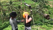 Full day Experience the beauty and flavors of Bali private tour