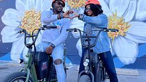 Smart Tour: Dallas Mural E-Bike Tour 