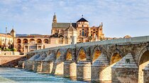 Cordoba Full Day Trip with Mosque Entrance from Costa del Sol