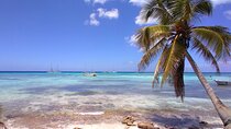 Saona Island Deluxe with Private Transfer (Min 8 People)