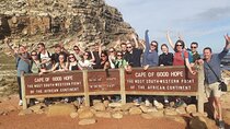 Seal Island,Cape of Good Hope&Penguins Shared Tour,From Cape Town